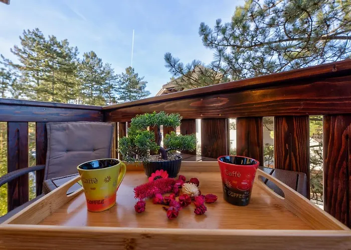 Papillon 2 * Zlatibor